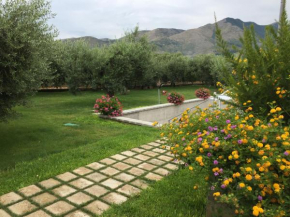 il Gelsomino